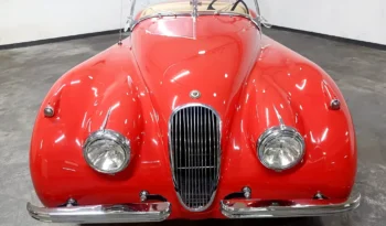 
									1954 Jaguar XK120 full								